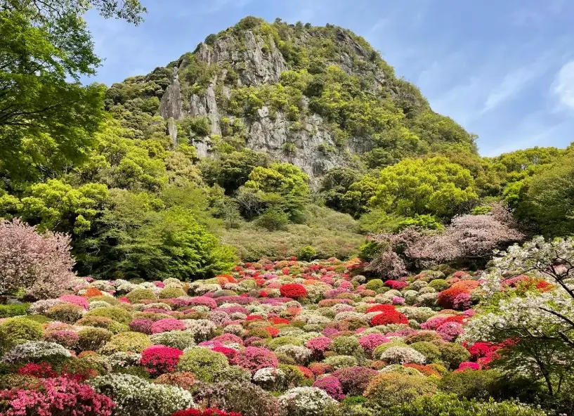 佐賀旅遊 佐賀旅遊